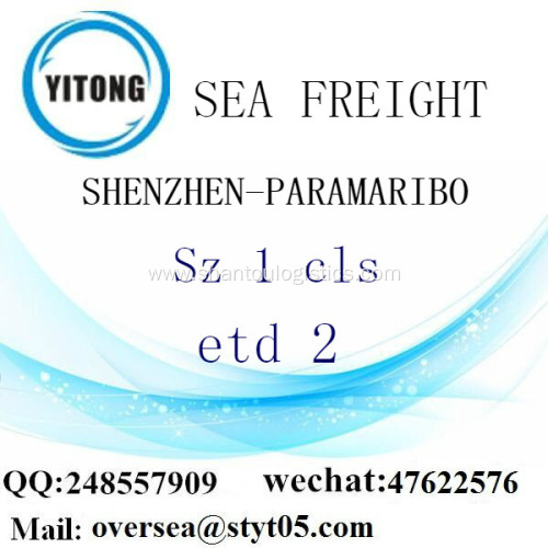 Shenzhen Port LCL Consolidation To Paramaribo